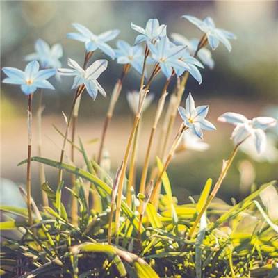 银河国际官网app下载下载手机版